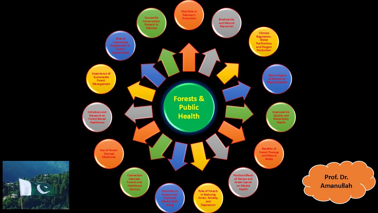 Greening Pakistan: How Forests Sustain Human Health