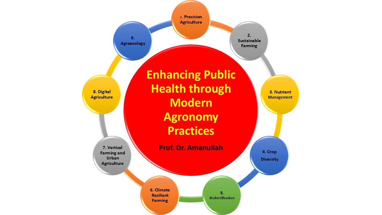 Enhancing public health through modern agronomy: Sustainable and nutrient-rich practices