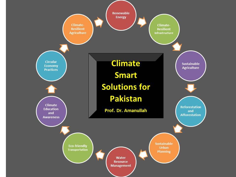 Pakistan’s path to sustainability: Advancements  in cleaner production, a circular economy, and  climate-smart solutions 
