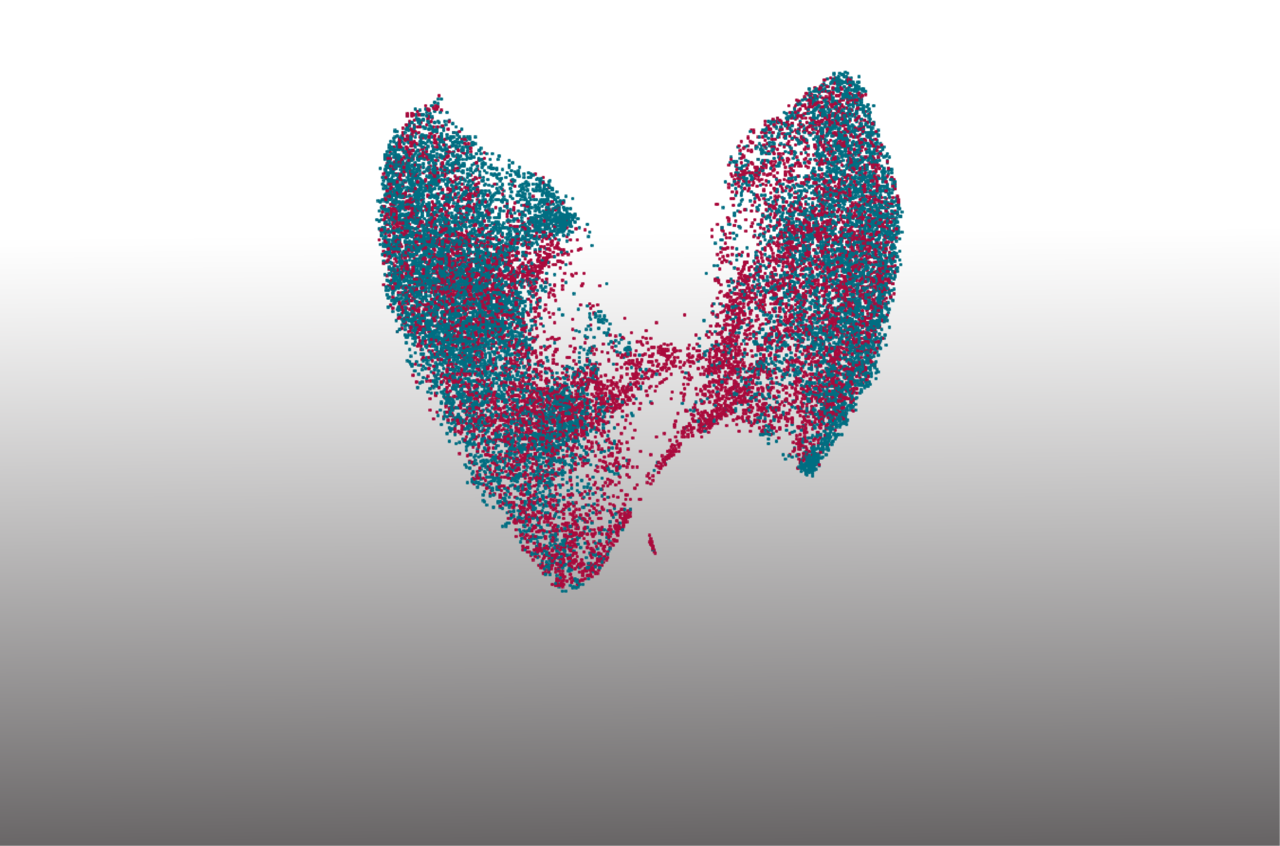 Dissecting tissue response in COVID-19 - how science moved the pandemic and vice versa