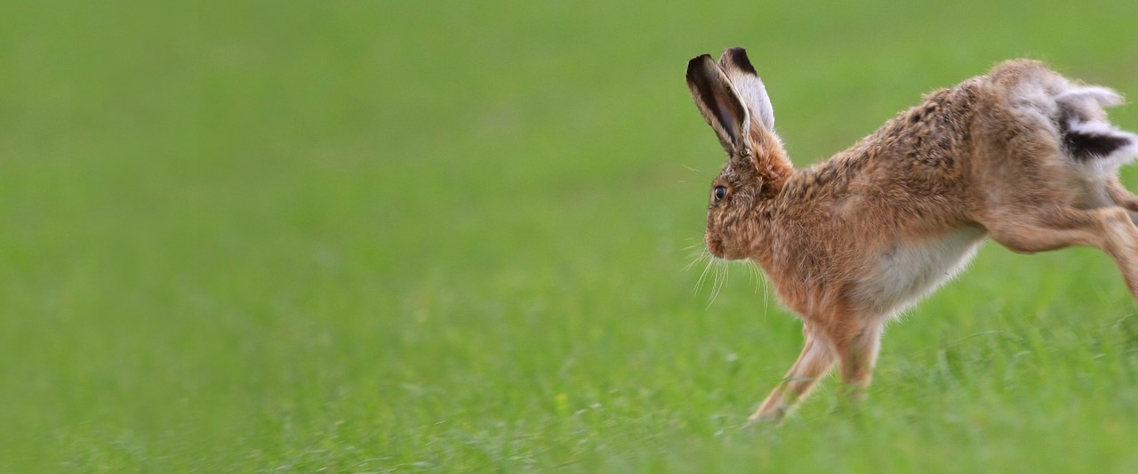 1,000 pages of evidence for conservation actions