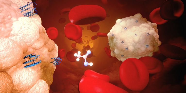 Acetate alarms neutrophils and protects from severe sepsis