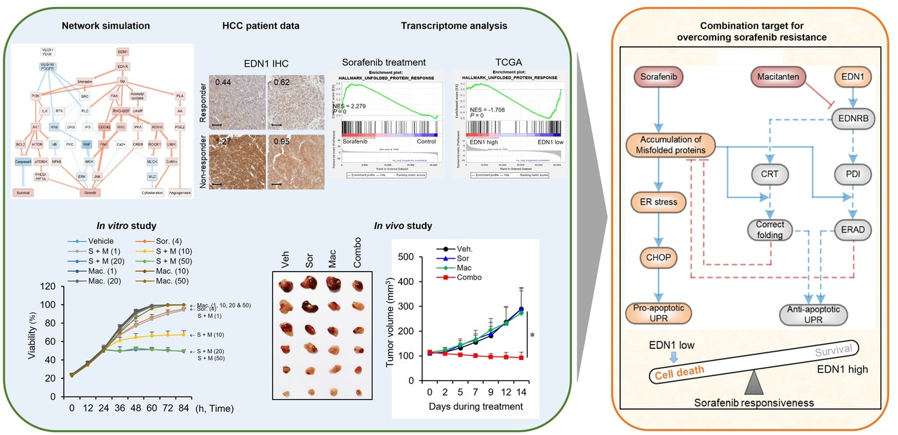 Systems analysis identifies endothelin 1 axis blockade for enhancing the anti-tumor effect of multikinase inhibitor