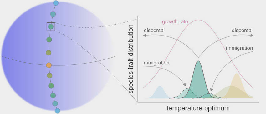 Interacting species under climate change