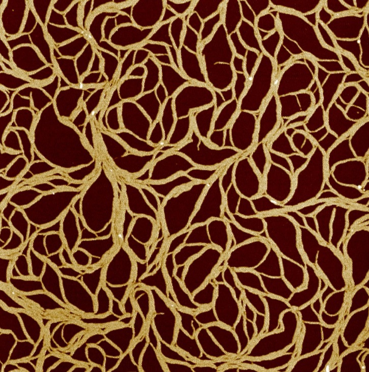 Getting organised: Structural transformations using energy dissipation