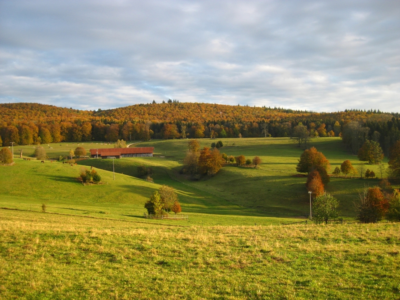 Agricultural production and conservation in grasslands