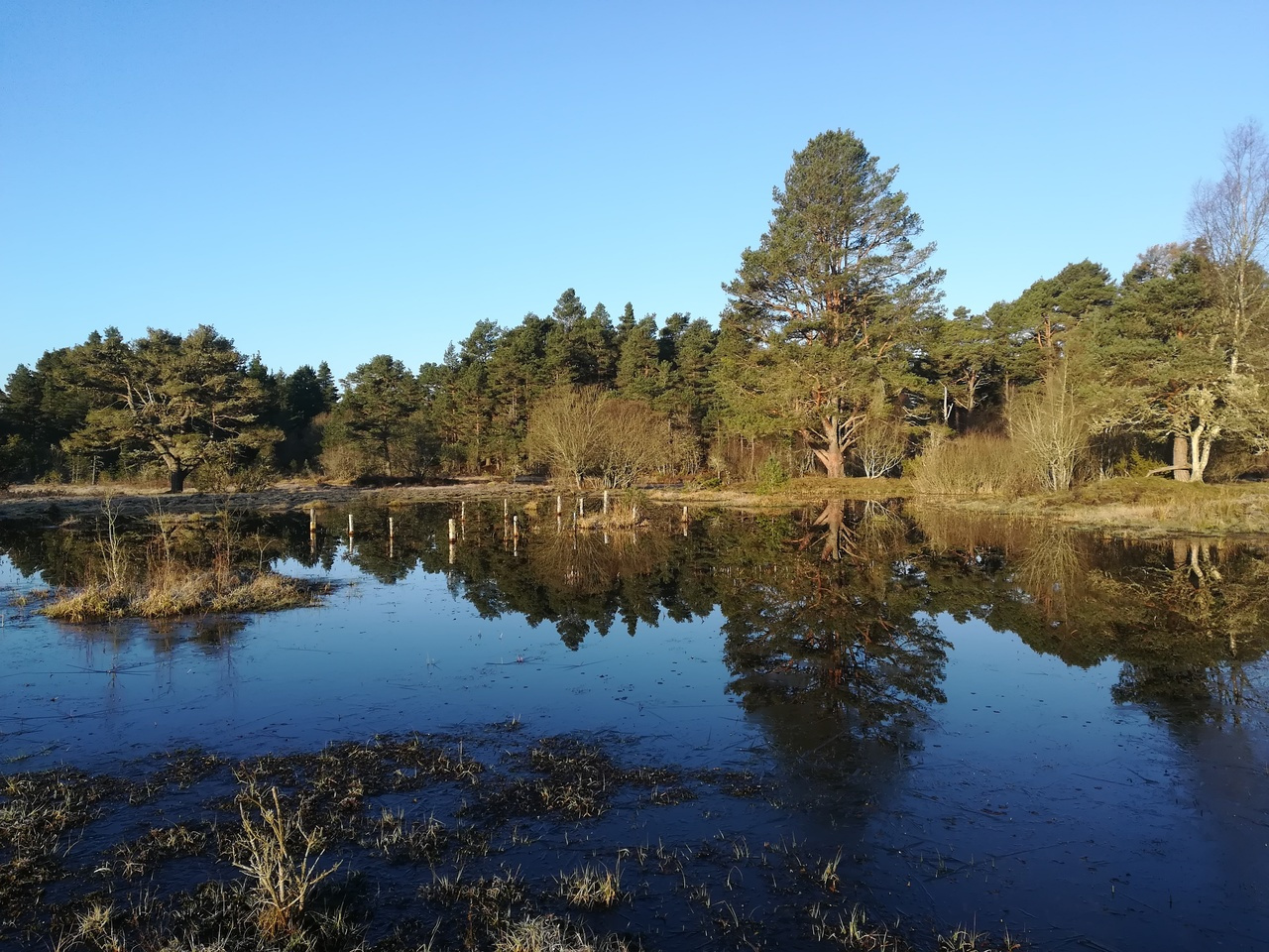 Joining from the Scottish Highlands, UK