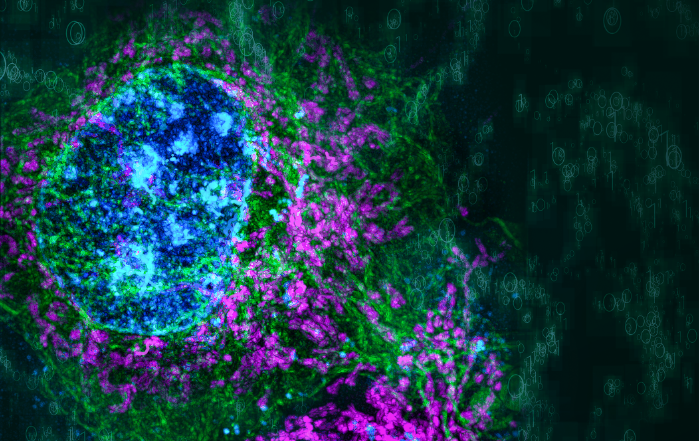Physical resolution might be meaningless if in the mathematical space