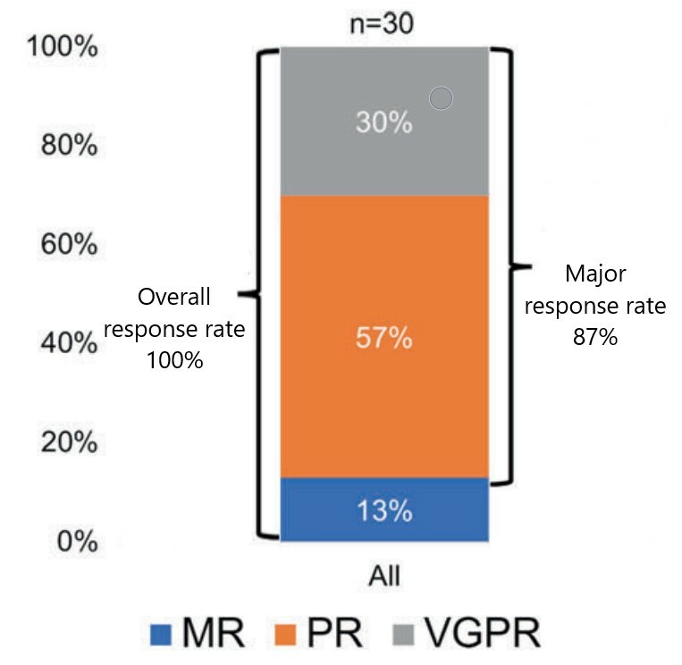Long-term follow-up of ibrutinib in Waldenstrom macroglobulinemia