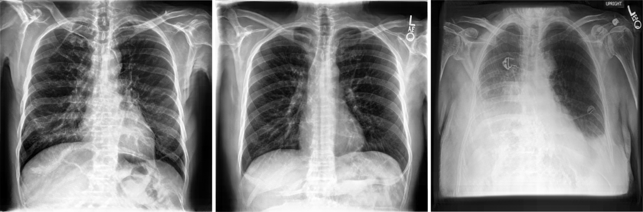 Overcoming barriers to data sharing with medical image generation: a comprehensive evaluation