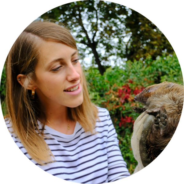 Go to the profile of Grace Johnson