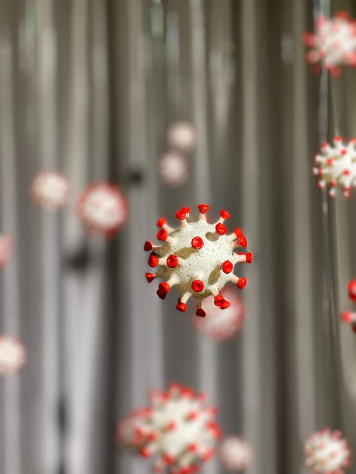 Did weather drive local transmission at the start of the COVID-19 pandemic?