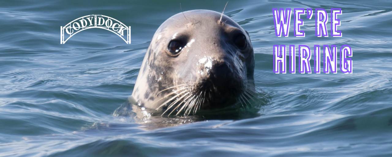 Assistant Biodiversity Officer