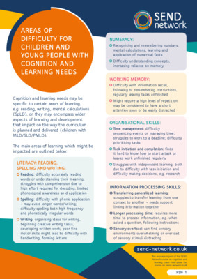 Areas of difficulty for CYP with cognition and learning needs