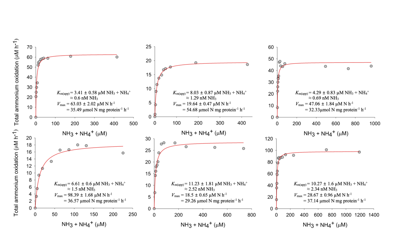 Cellular Kinetics of Ammonia-oxidizing Microorganisms