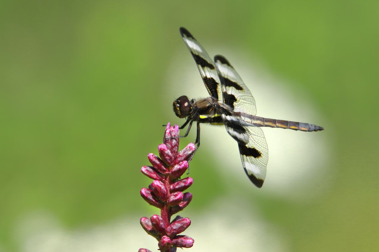 Celebrating my PhD at DICE Kent