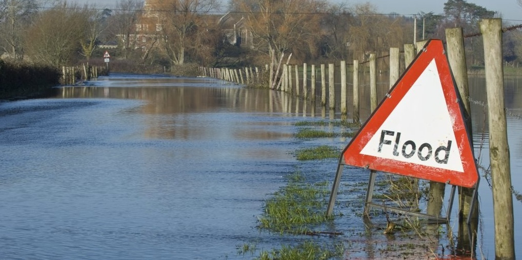 Boosting climate motivation with psychological interventions