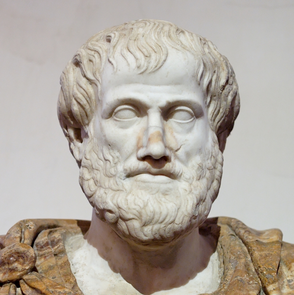 Excellence is an art won by training and habituation...