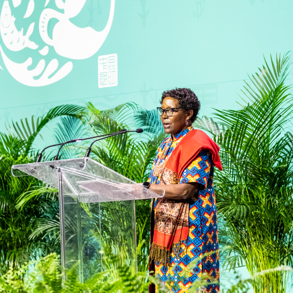 Protecting and restoring nature is good business – it generates value, builds resilience, and supports net zero plans.