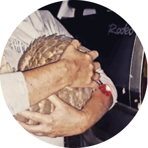 Go to the profile of Alexis Kriel