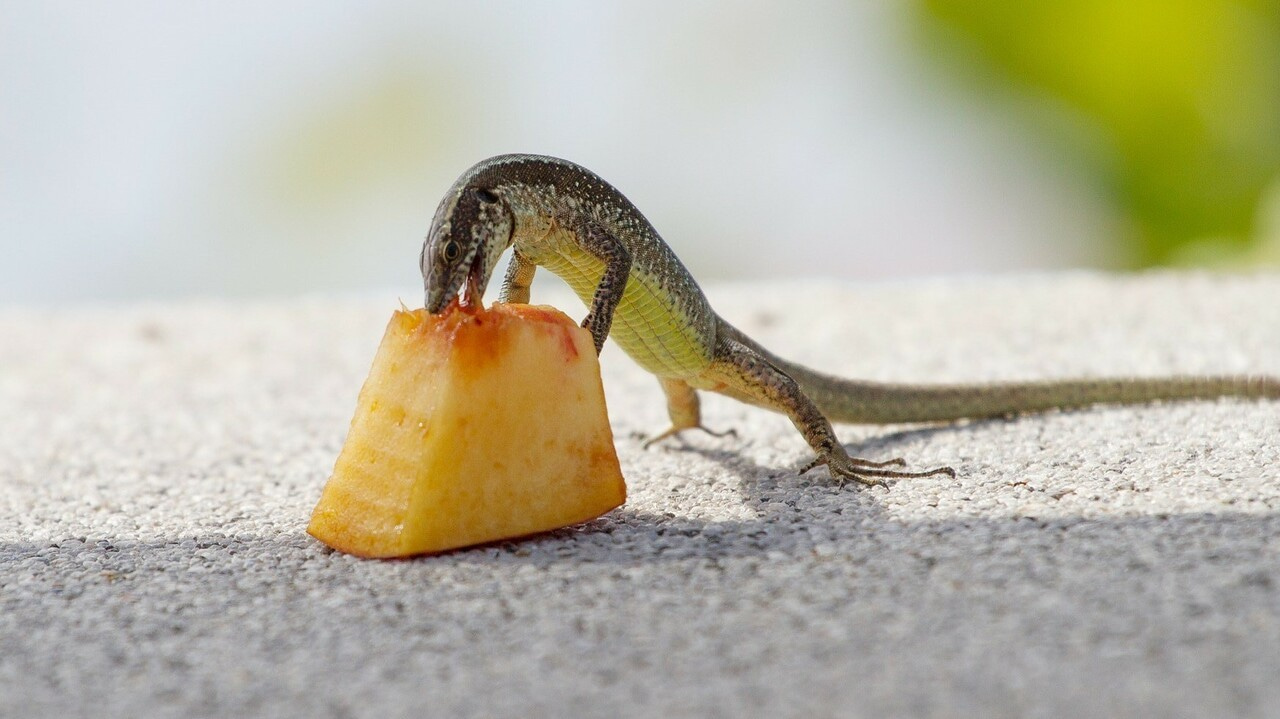 On the cusp of success