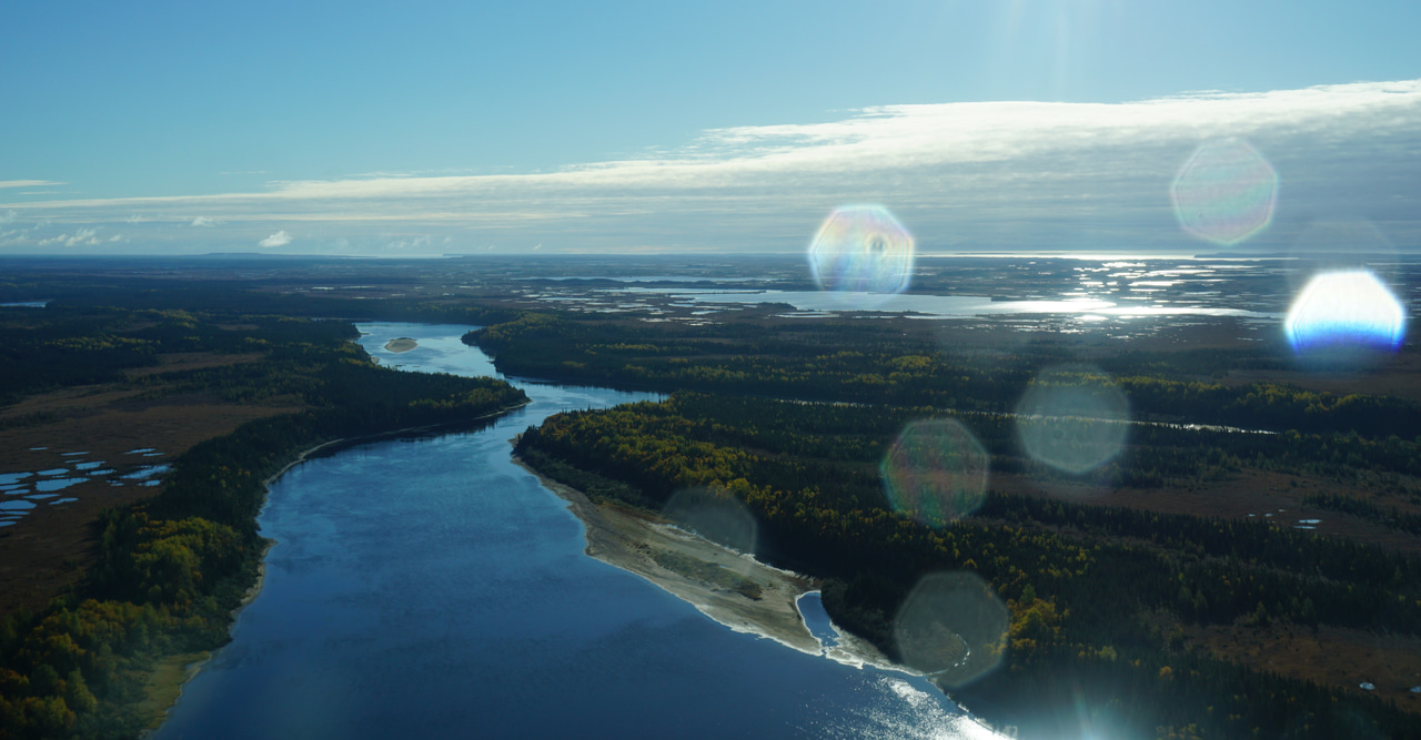 A microbial journey from soils to the estuary: The processes that shape aquatic microbial communities. 