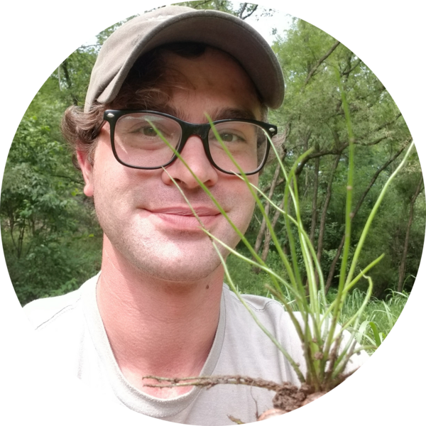 Go to the profile of David Wickell