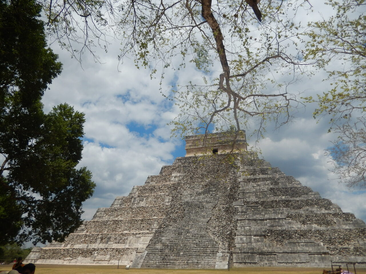 Tracing Native Mexican adaptive evolution history