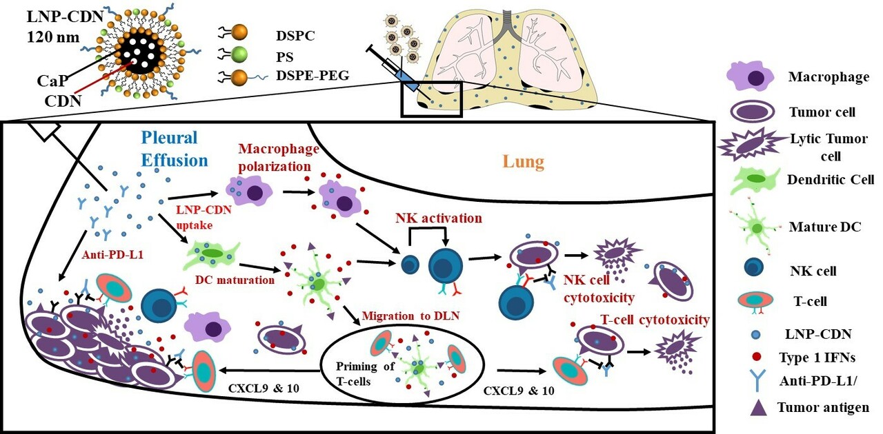 Intrapleural nano-immunotherapy