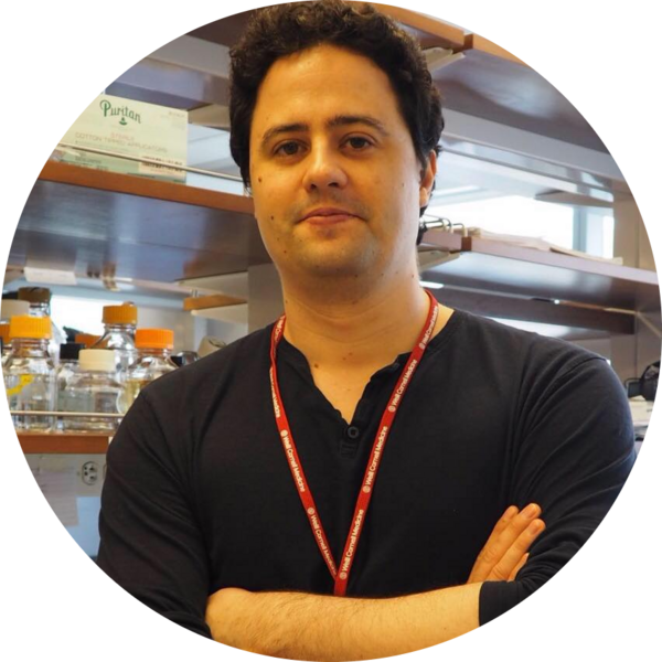 Go to the profile of Tiago Beites