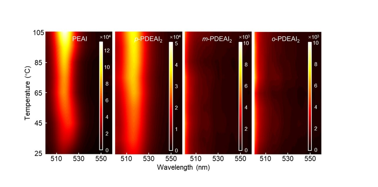 Efficient and Stable Perovskite Solar Cells and Modules using Tailored Organic Halide Passivators