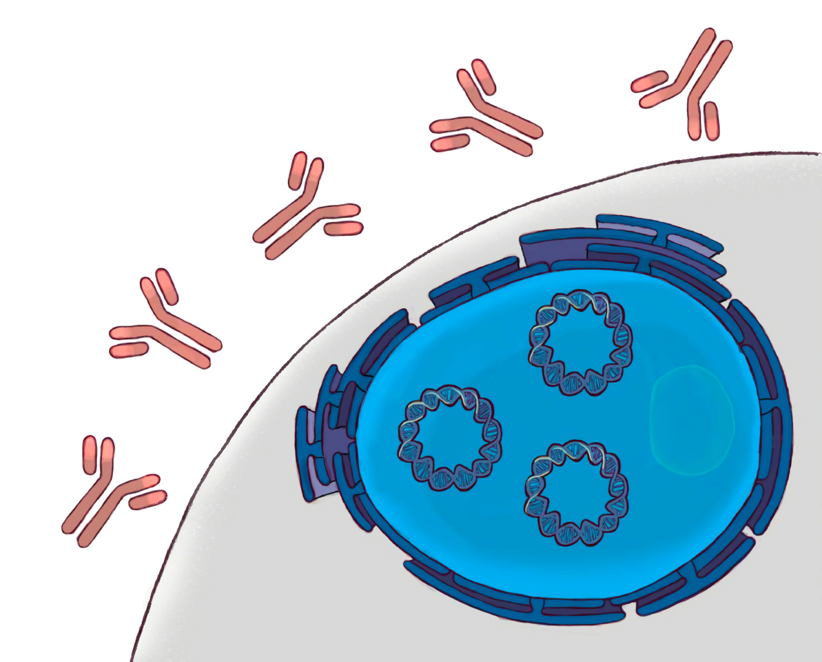 Intratumoral delivery of DNA-encoded immunotherapeutics: a promising avenue for gene-based medicine cocktails