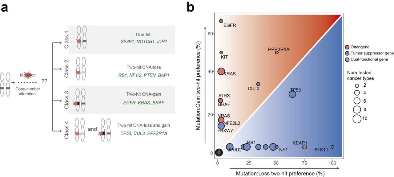 Higher order genetic interactions switch cancer genes from two-hit