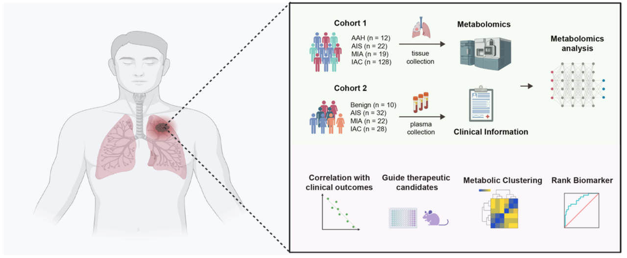 Evolutionary metabolic landscape from preneoplasia to invasive lung adenocarcinoma with therapeutic implications