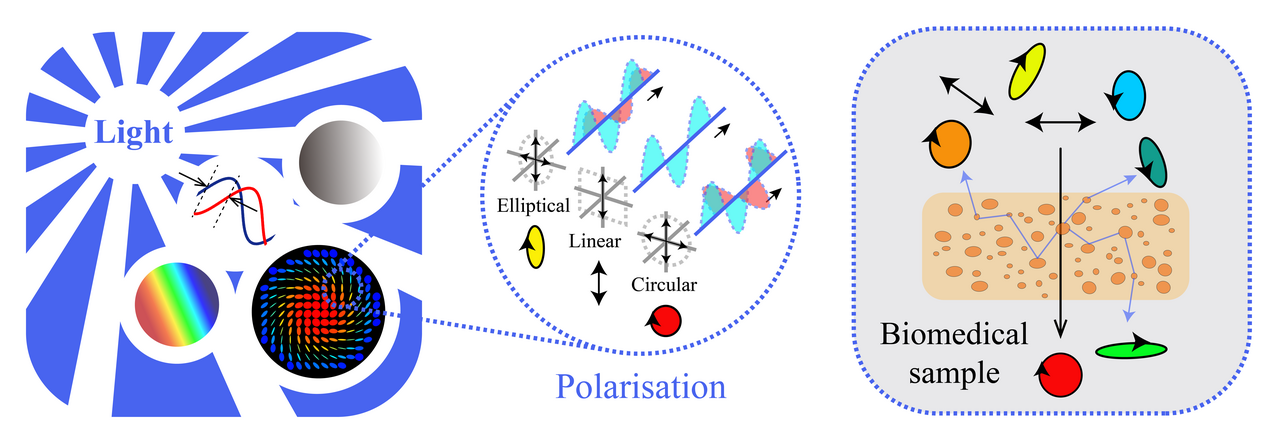 Polarisation optics for biomedical and clinical applications