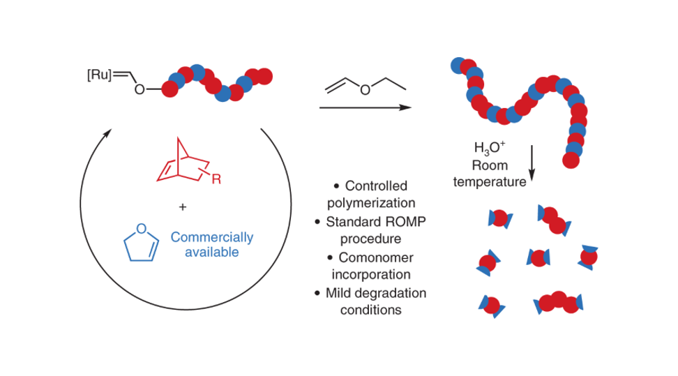 Enol Ethers in ROMP: From Quenching Agent to Comonomer