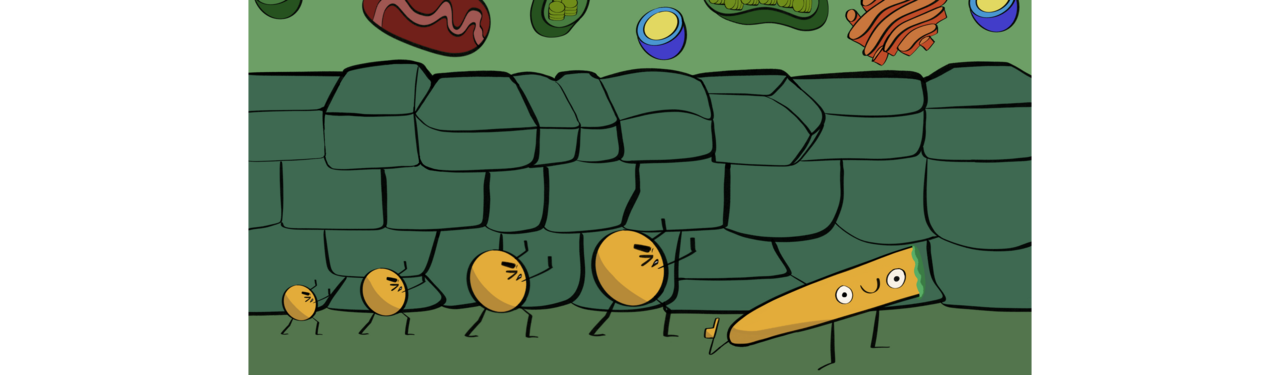 David versus Goliath: Harnessing nanotechnology to address daunting agricultural challenges