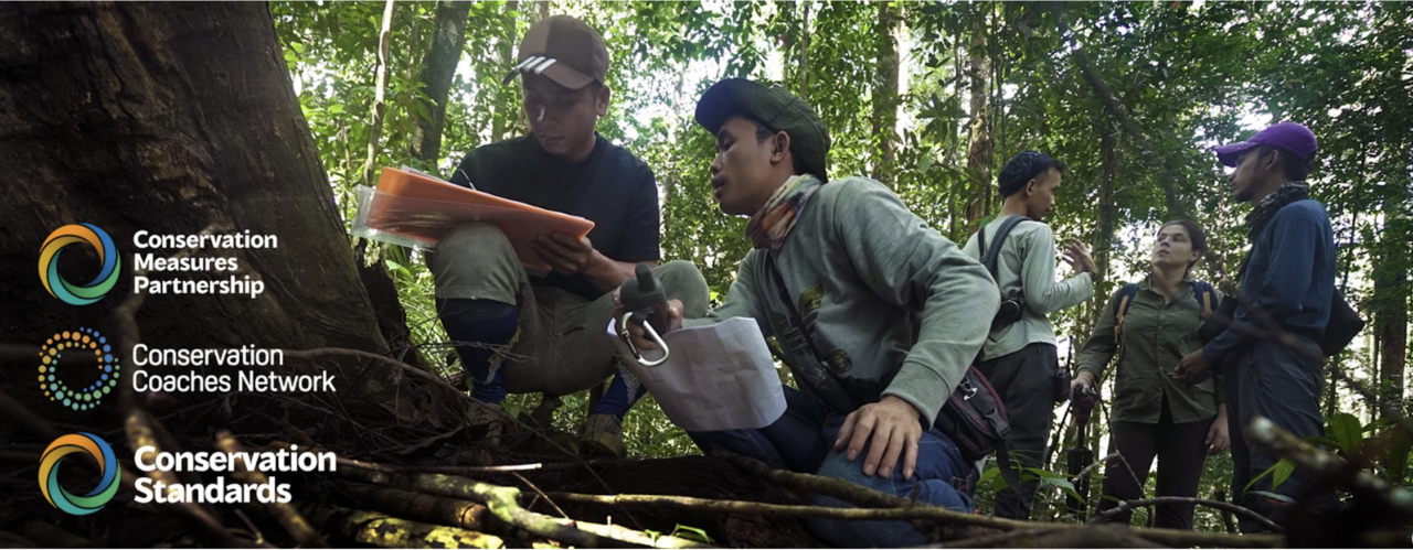 CCNet & CMP Rally 2025