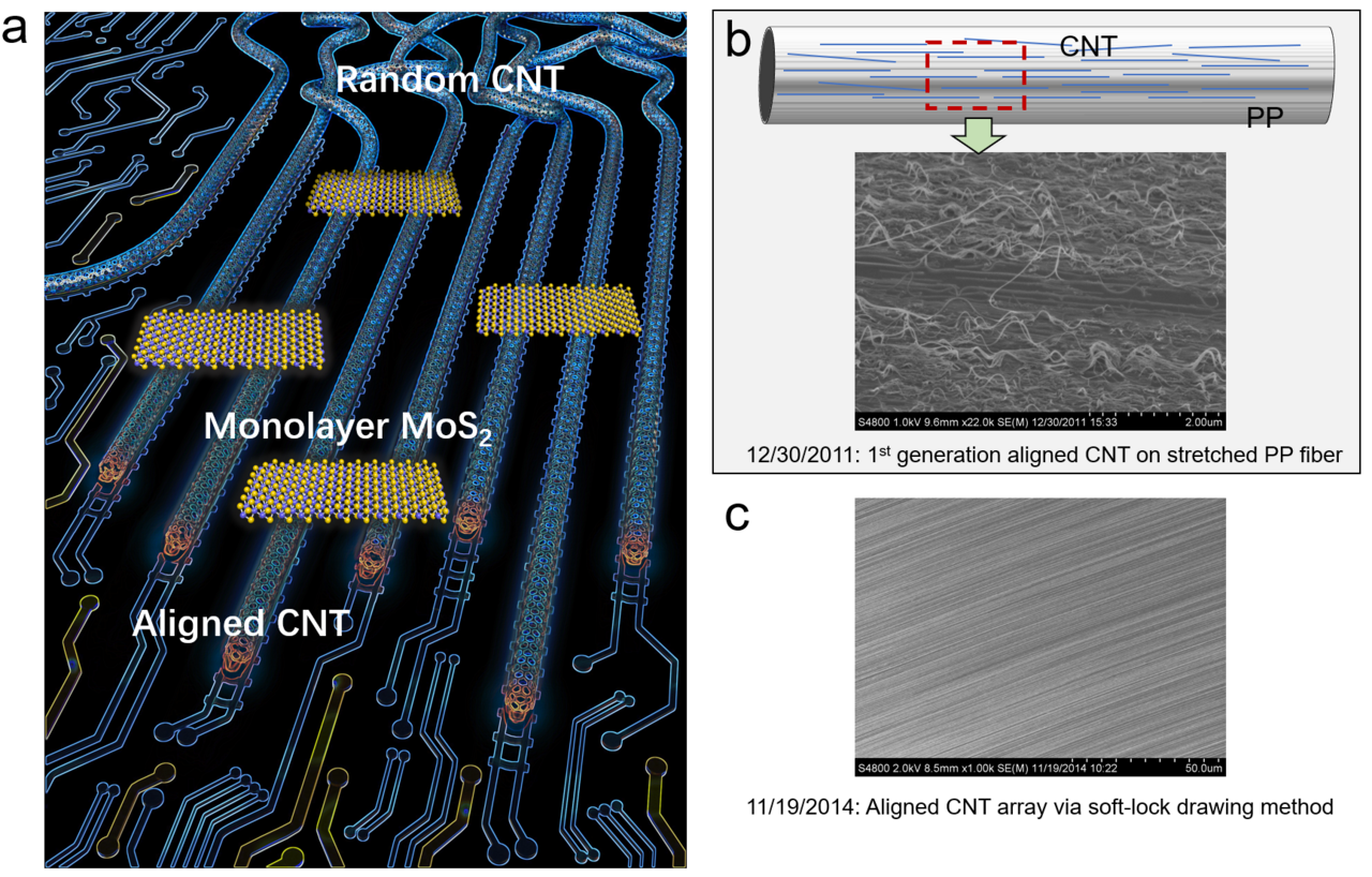 Drawing aligned nm-scale electrodes from "drunk" random carbon nanotube networks