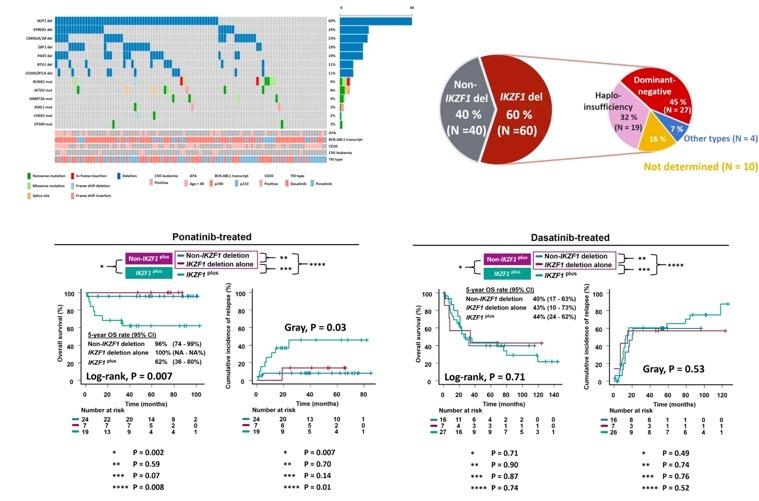 Genetic correlates in patients with Philadelphia chromosome-positive acute lymphoblastic leukemia treated with Hyper-CVAD plus dasatinib or ponatinib