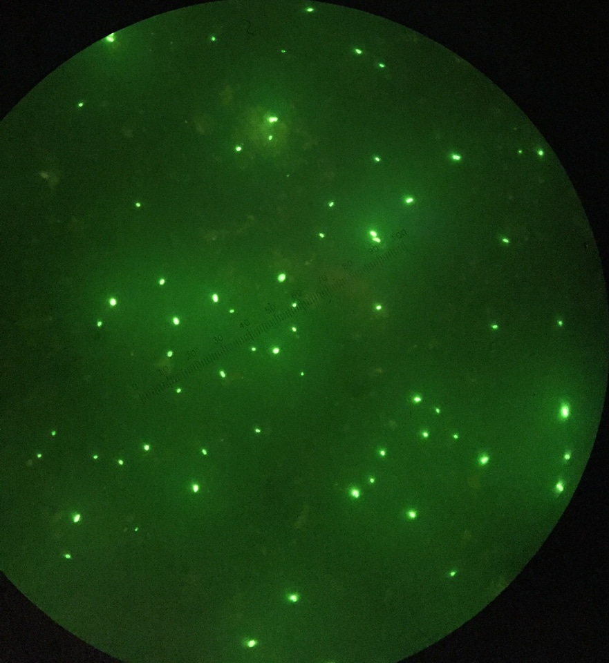 The role of methanotrophy in temperate lakes