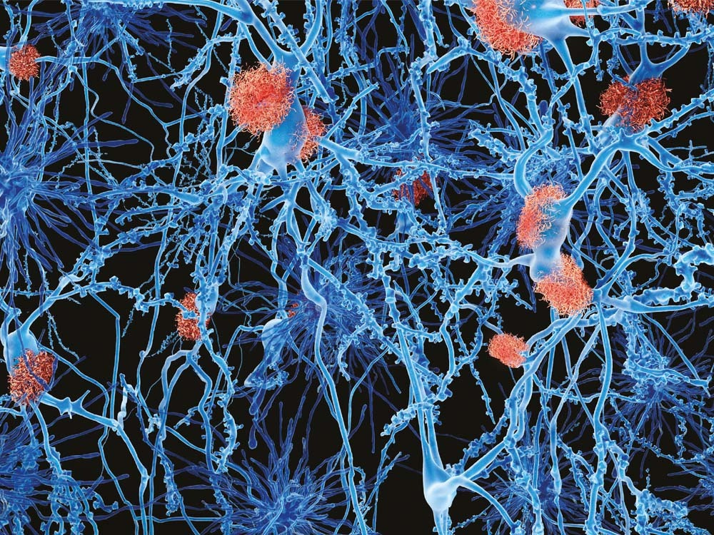 Can a virtual scientific meeting feel real?