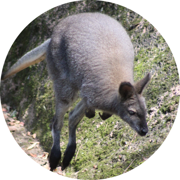 Go to the profile of Hayley Rocco