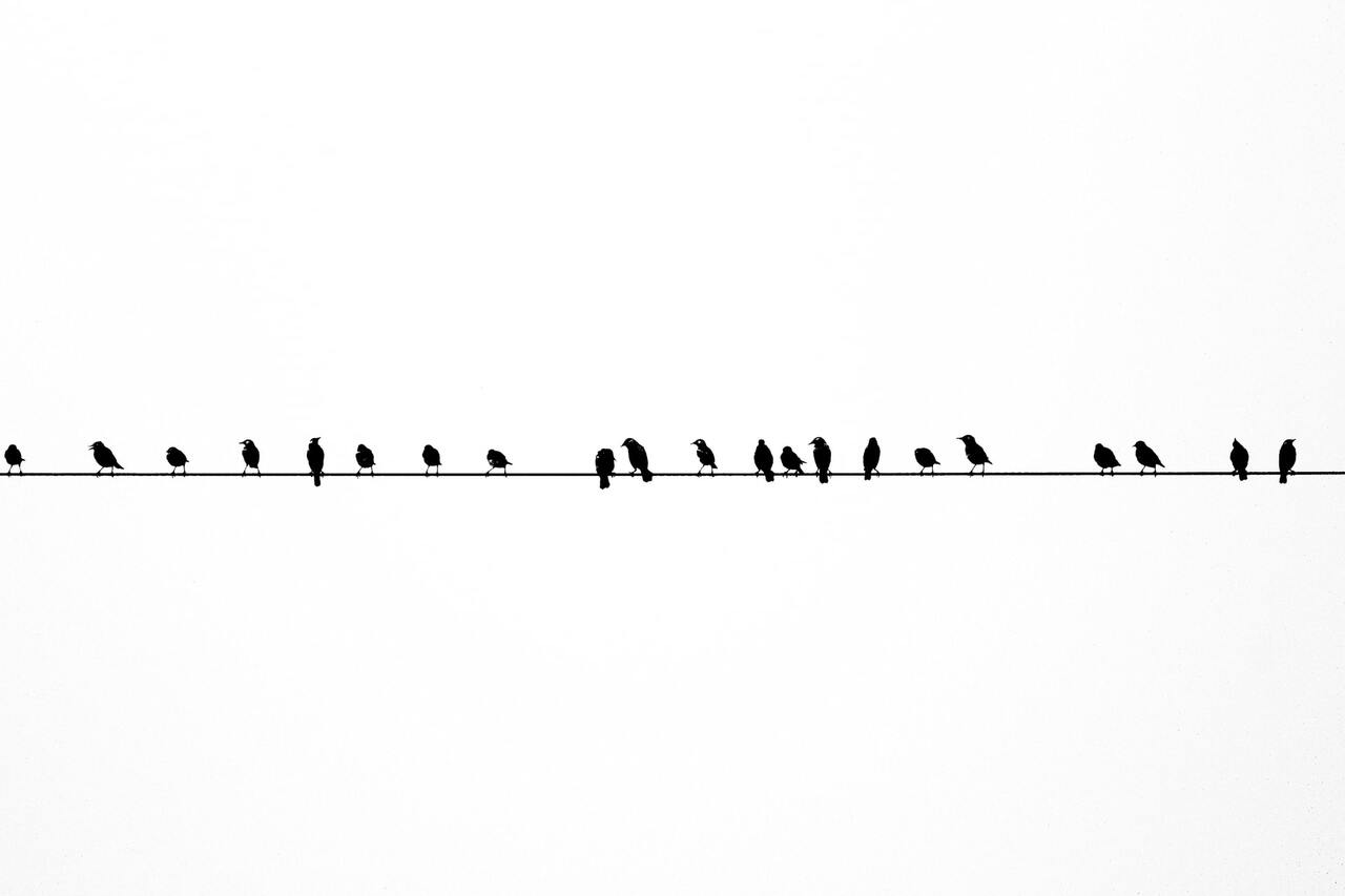 Focal randomisation in grant allocation: a new wave of innovation in grant funding