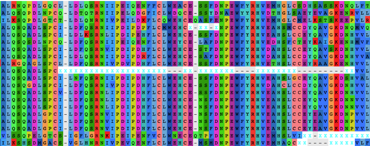 Automated removal of non-homologous sequence stretches in phylogenomic datasets
