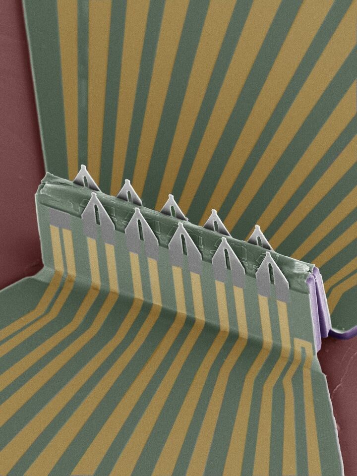 Intra- and inter-cellular recording by a 3D transistor array