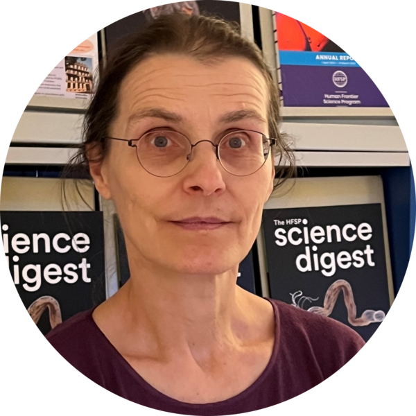 Go to the profile of Almut Kelber