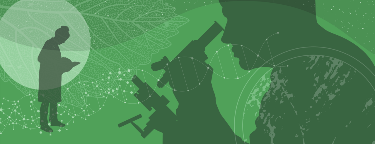 How to Best Utilise the Research Communities as an Early Career Researcher 