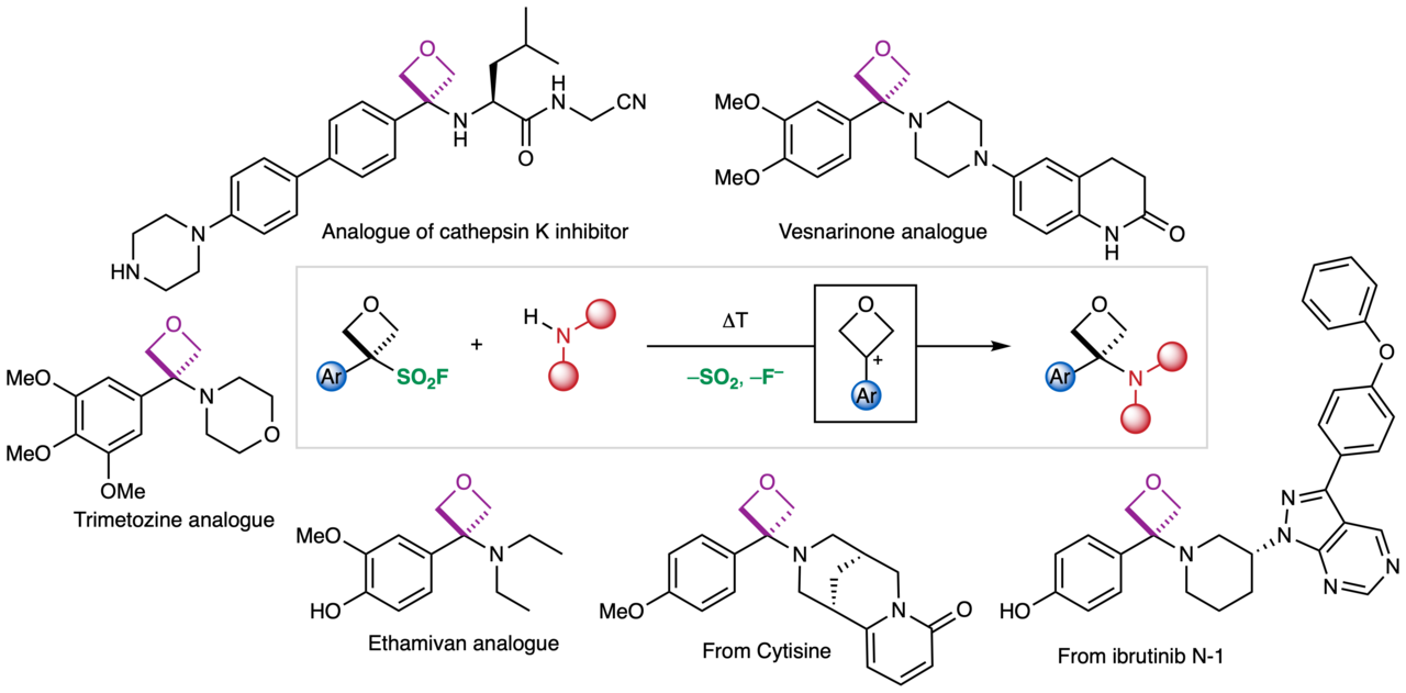 Not all sulfonyl fluorides were created equally - some have oxetanes