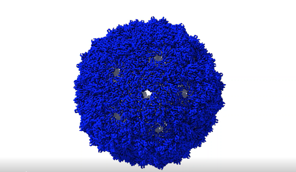Controlling the size and symmetry of a virus capsid